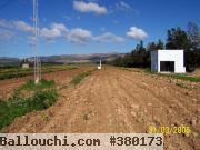 Terrain agricole à borj El toumi