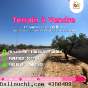 Un lot de terrain clôturé de5000m²aFoukaiaChattmeriem