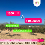 Très belle offre pour un terrain agricole de1300 m² a foukaia