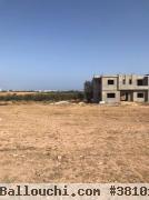 T191 Terrain FLORA HAMMAMET SUD