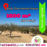 Réf409Terrainde1800màRmila Chott meriem 