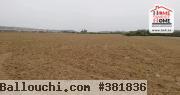 Terrain Agricole à Vendre à Siliana
