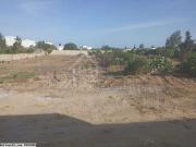 Terrain de 1380 m² à vendre à Hammamet 51355351