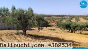 Terrain Latrach