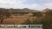 Terrain 7 hectares