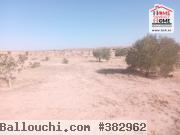 Terrain Agricole Majel Bel Abes à Vendre à Kesserine