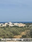 TERRAIN LORA Hammamet Nord Mrezka T1031