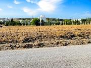 Terrain de 300 m² à Hammamet