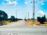 Terrain de 600 m² à Hammmaet