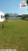 Terrain Promoteur Albert à Vendre à Chotrana 1