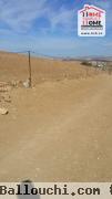 Terrain Agricole Zitouna à Vendre à Slouguia Tastour