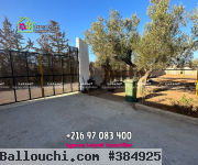 RéfTA421PetiteFermeàVendrede2158m²aHergla