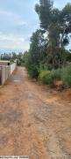T200 Terrain BORA BIR BOUREGBA