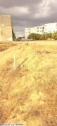 T198 Terrain OMAR HAMMAMET NORD