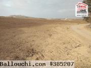 Terrain Agricole Belair à Vendre à Jbal West Zaghouan