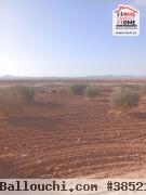 Terrain Agricole EL Khir à Vendre à Gafsa