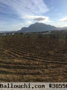 Terrain a morneg elksibi m2