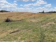 av terrain 9100m à zaghouan ezriba