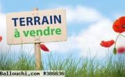 TERRAIN ARFA VTF048