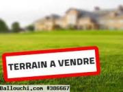TERRAIN MUSKA VTH034