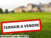 TERRAIN QURVA VTE049