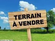 TERRAIN HORA VTE141