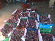 Vente Vignoble