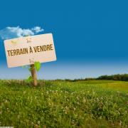 TERRIN BISKRA VTH101