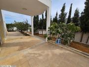 MAISON LA JUNGLE(Réf: L2903)