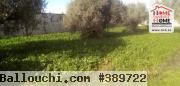 Terrain de Villa Paul à Vendre à Borj Touil