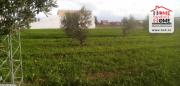 Terrain de Villa Louija à Vendre à Borj Touil