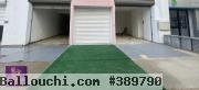 P de porte Locaux commerciaux jardin de carthage
