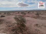 Terrain Agricole Adan à Vendre à Sidi Aich