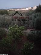 villa avec un grand jardin près de la mer