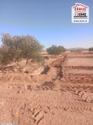 Terrain Agricole Elora à Vendre à Gafsa