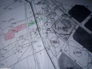 15 lots a vendre a proximité du lycée secondaire kalaa sghira (sousse)