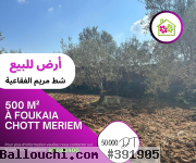 Une Bonne Offre à Foukaia Chott Meriem,