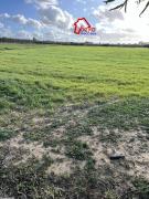 beni khalled , trois hectares nu et plat
