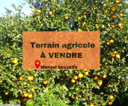 terrain agricole