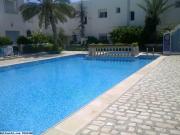 Duplex narcisses (réf: v2751 ) :