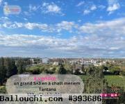 À vendre un appartement s+3  à #chatt_meriem 