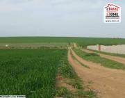 Terrain Agricole Anya à Vendre à Utique