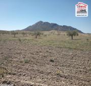 Terrain Agricole Ricky à Vendre à Tejrouine