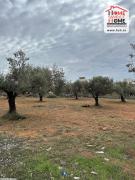 Terrain Agricole Zaria à Vendre à Mnihla