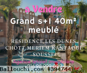 #àVendre #s1 #meublé #lesDunes #vuepiscine