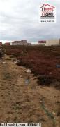 Terrain kelaplex A Vendre A Raoued