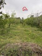 terrain MISKA VTN034