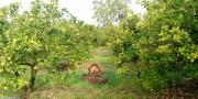terrain MISKA VTN021