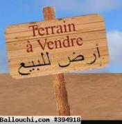 terrain CAVITA VTH022