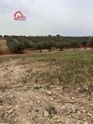 terrain BOULIDIN VTN032